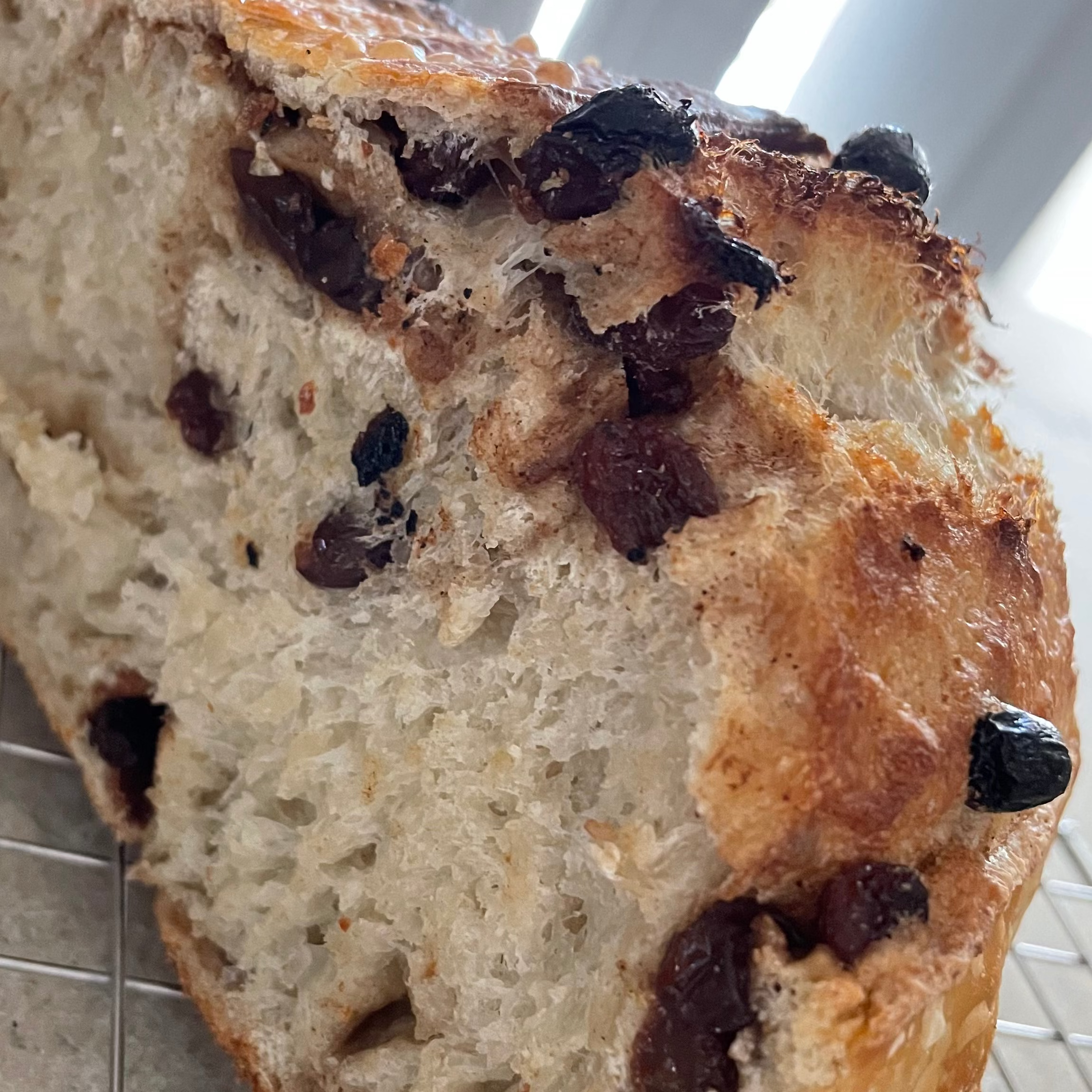 Raisin a Ruckus Sourdough Loaf